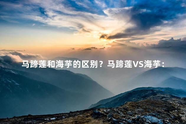 马蹄莲和海芋的区别？马蹄莲VS海芋：你了解它们的区别吗？