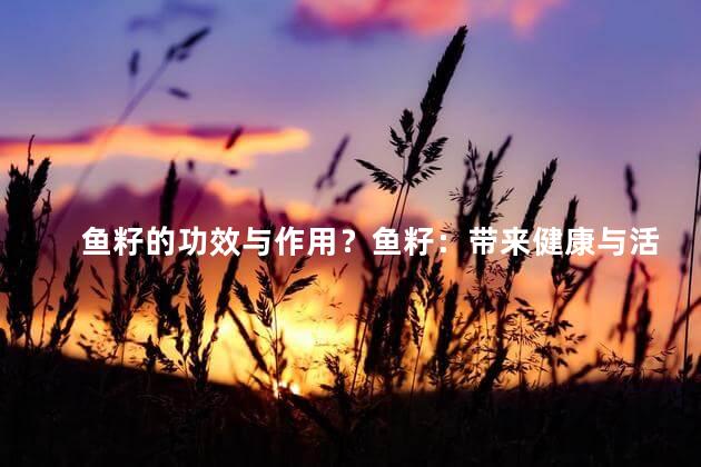 鱼籽的功效与作用？鱼籽：带来健康与活力的美味佳品