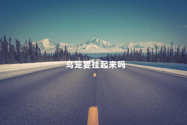 鸟笼要挂起来吗