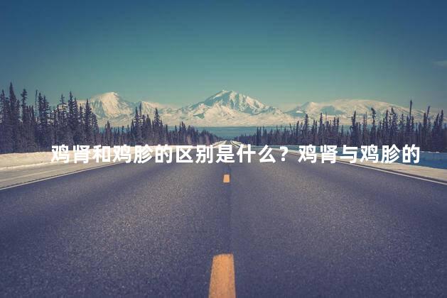 鸡肾和鸡胗的区别是什么？鸡肾与鸡胗的差异：你了解吗？