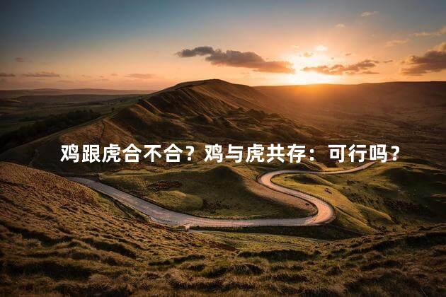 鸡跟虎合不合？鸡与虎共存：可行吗？