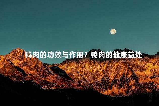鸭肉的功效与作用？鸭肉的健康益处
