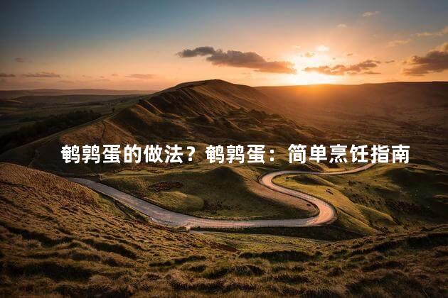 鹌鹑蛋的做法？鹌鹑蛋：简单烹饪指南