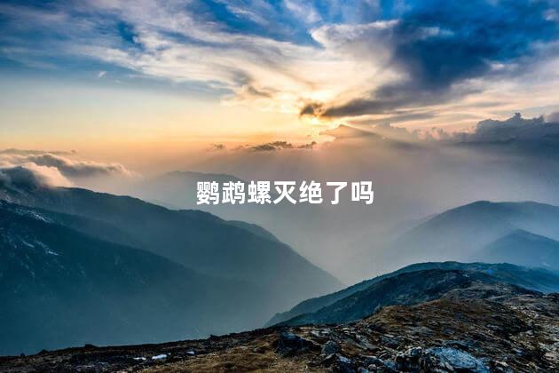 鹦鹉螺灭绝了吗，鹦鹉螺现在灭绝了吗