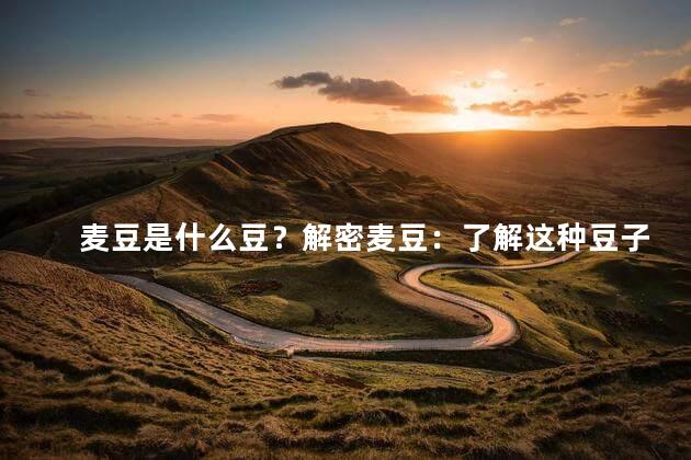 麦豆是什么豆？解密麦豆：了解这种豆子是什么