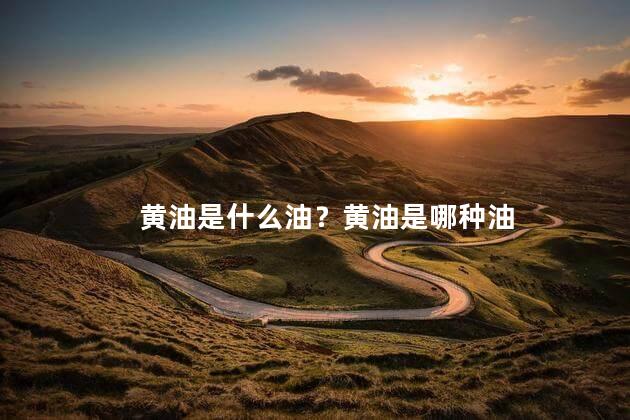 黄油是什么油？黄油是哪种油