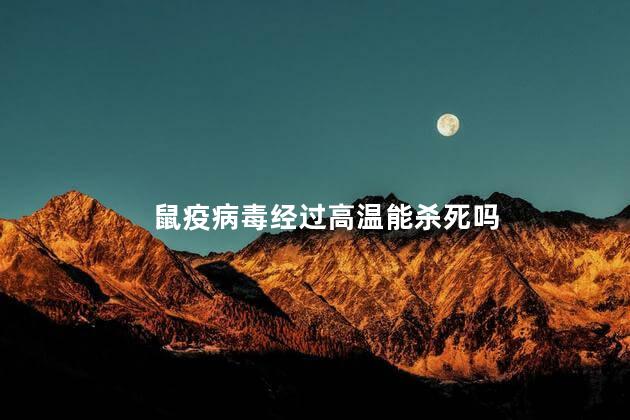 鼠疫病毒经过高温能杀死吗，鼠疫病毒耐高温吗