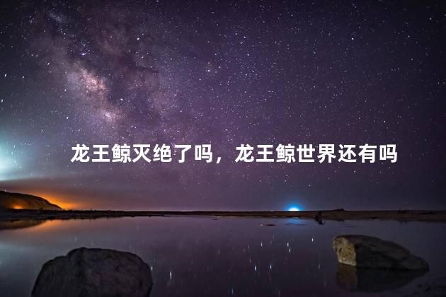 龙王鲸灭绝了吗，龙王鲸世界还有吗