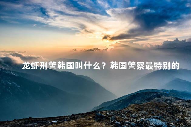 龙虾刑警韩国叫什么？韩国警察最特别的“刑警龙虾”：什么让它与众不同？